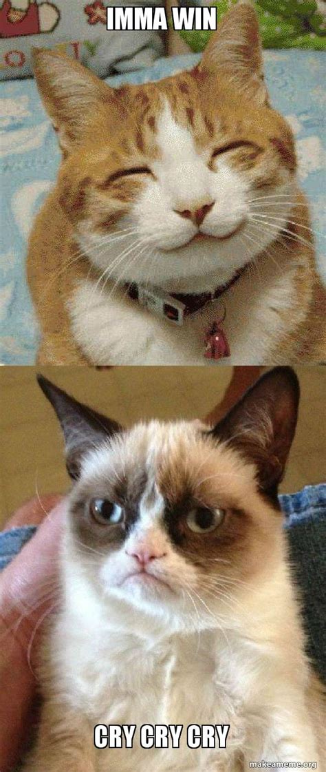 44 Crying Grumpy Cat Meme