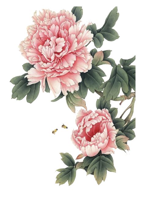 738 transparent png illustrations and cipart matching transparent background. Chinese Flower Transparent Background | PNG Mart
