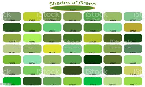 Shades Of Green Color Isolated On White Background Green Tones And