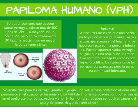 El Virus Del Papiloma Humano Tiene Cura Petrus Maximinus