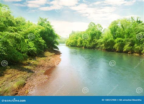 Blurred Photo Green Trees Background And The River Stock Photo Image