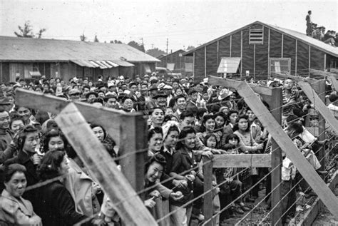 critical race critics object to teaching about japanese american internment during world war ii