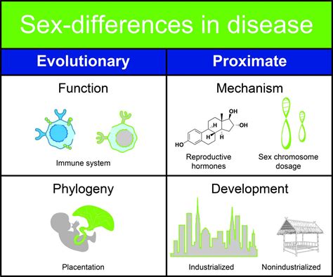 Sex Differences In Disease Image Eurekalert Science News Releases