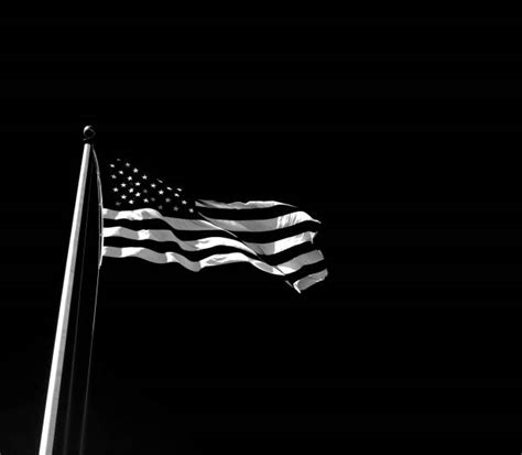 Top 60 Black And White American Flag Stock Photos, Pictures, and Images