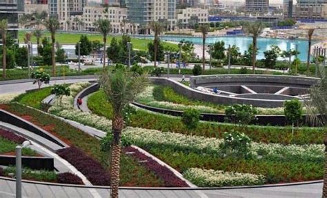 Top 6 Picnic Spots In Abu Dhabi That Are Perfect To Relax Over The Weekend