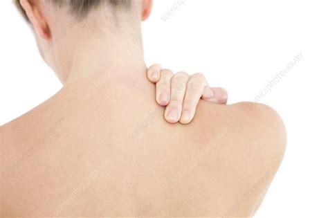 Womans Shoulder Stock Image F0063662 Science Photo Library