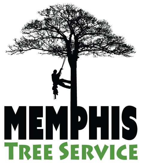 Tree Trimming When Is The Best Time To Trim Oak Trees Tree Service