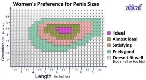 Penis Measurement Guide How To Correctly Determine Your Size