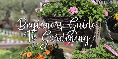 Beginners Guide To Gardening Upcountry Garden Centre And Bakehouse