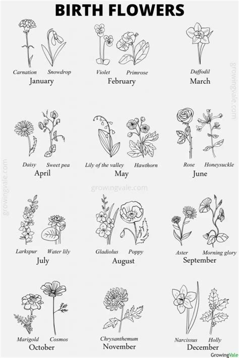 Birth Flowers By Month Which Plants Represent Your Birthday Growingvale