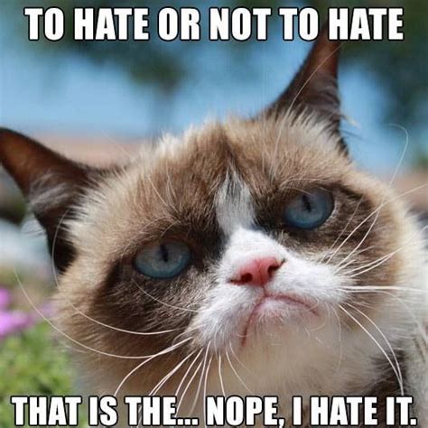Pin By Michele Quistad On Grumpy Cat Funny Grumpy Cat Memes Grumpy