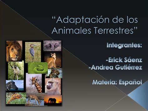 Pdf Adaptacion De Los Animales Terrestres Dokumentips