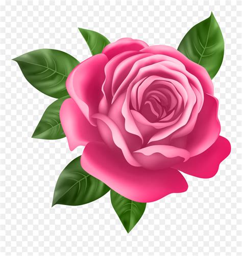 Pink Rose Transparent Png Clip Art Best Rose Flower