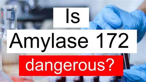 Is Amylase 172 High Normal Or Dangerous What Does Amylase Level 172 Mean