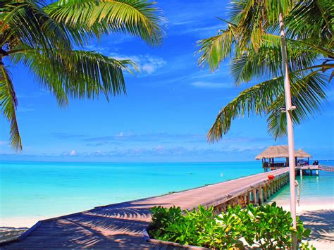 download wallpaper 1600x1200 maldives sky clouds island palm trees bungalows sea ocean