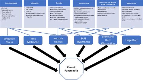 Figure 1 From Chronic Pancreatitis Review And Update Of Etiology Risk