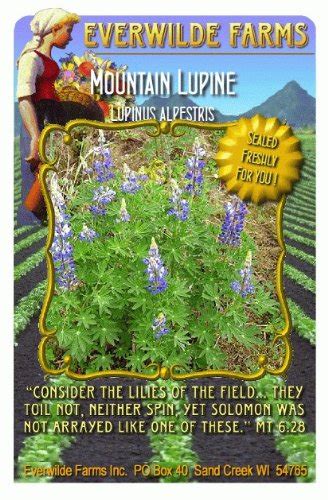 Everwilde Farms 14 Lb Mountain Lupine Native Wildflower Seeds Bulk