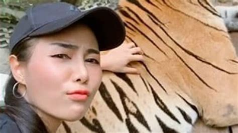 Woman Grabs Tigers Testicles As She Poses For Photo At Zoo Ladbible