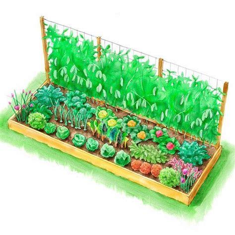 Vegetable Planting Plans For Raised Beds