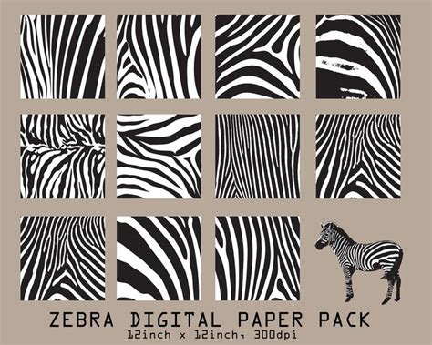 11 Zebra Digital Papers 12inch With 12inch 300dpi Instant Etsy