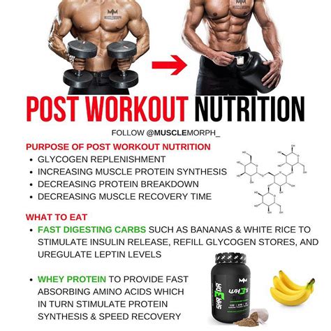 Musclemorph The Importance Of Post Workout Nutrition