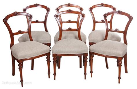 Set Of 6 Walnut Dining Chairs Antiques Atlas Antique Dining Chairs