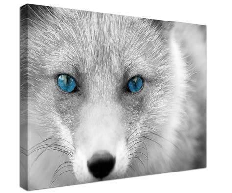 Blue Eyes Fox Canvas Print Fox Wall Art Canvas Print Fox Etsy Uk