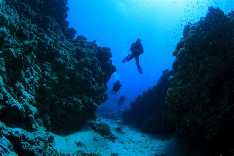 SCUBA Diving For Certified (PADI) Divers in Corfu | Corfu Next Holidays