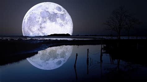 Big Moon Over The Lake Wallpapers And Images Wallpapers Pictures Photos