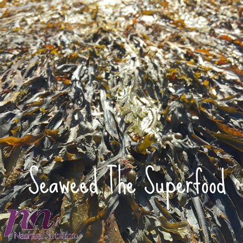 Seaweed The Superfood Health Weight Loss And More Nashua