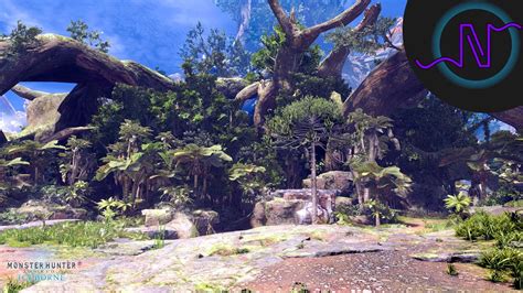 Ancient Forest Area Showcase Monster Hunter World Nylusion
