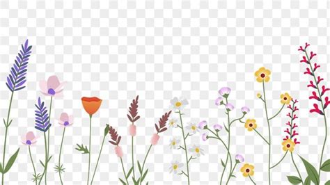 Png Wildflower Border Transparent Background Premium Image By