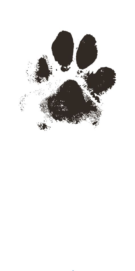 Dog Paw Stencils Pcs Paw Print Templates A4 Sheet Assorted Size Paw