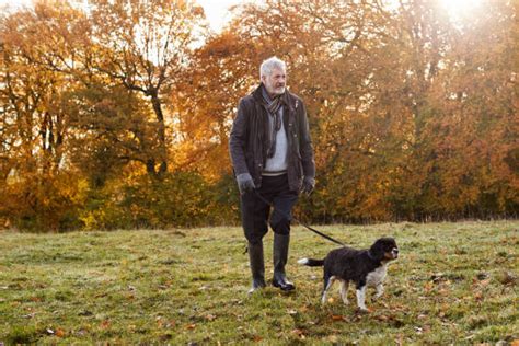Best Old Man Walking Dog Stock Photos Pictures And Royalty Free Images