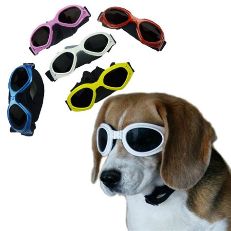 Beagle With Doggles Pet Sunglasses Dog Goggles Dog Sunglasses