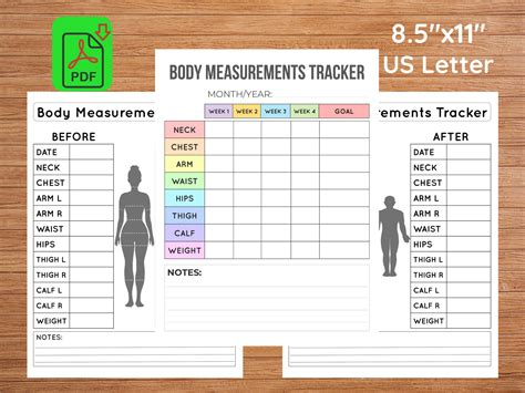 Body Measurement Tracker Printable Printable Templates