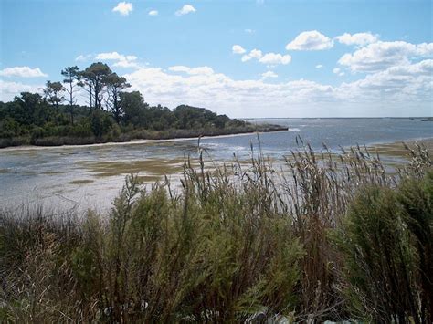 Someone mentioned false cape state park so i did a little research. False Cape State Park - Wikipedia