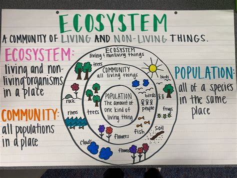 Ecosystems Anchor Chart Etsy
