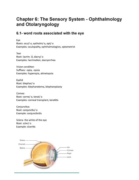 Chapter 6 The Sensory System Ophthalmology And Otolaryngology 61