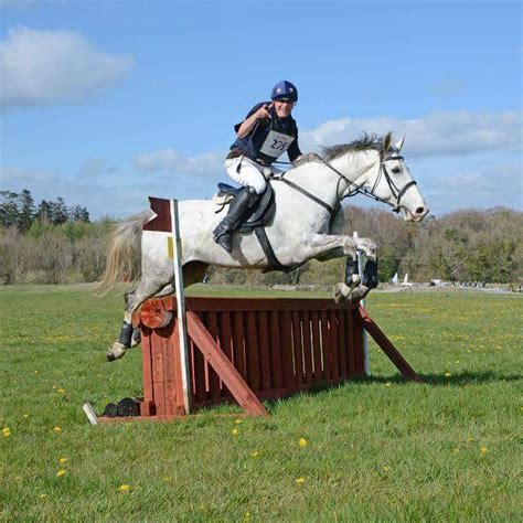 Photo Competition Winners Announced Association Of Irish Riding Clubs