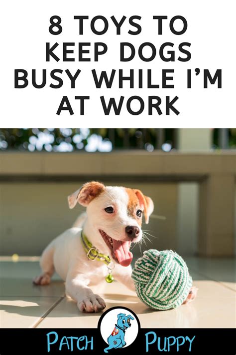 Toys To Keep Dog Busy While At Work Lashunda Sheets
