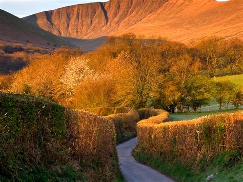 This is an app designed for use on windows and helps you control the brightness of multiple monitors. Brecon Beacons Montagne-Windows 10 HD Fond d'écran Aperçu ...