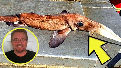 Fisherman Catches Otherworldly Creature That Stumps Scientists Youtube