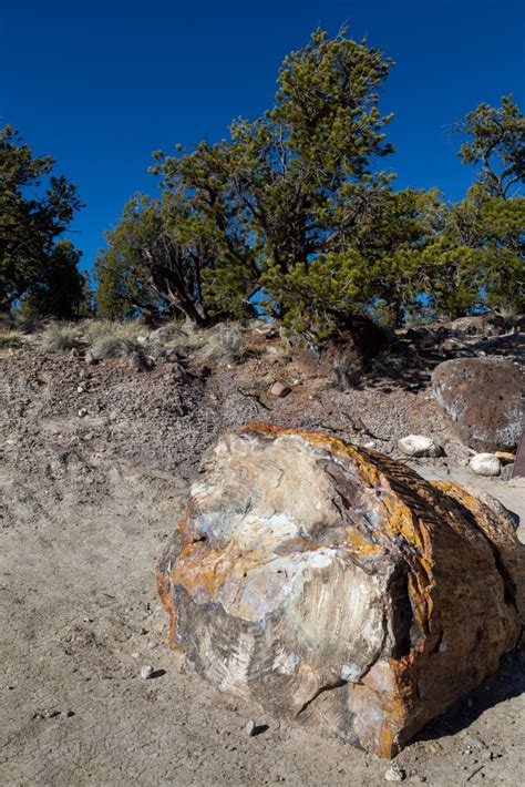 Escalante Petrified Forest State Park Photos Free Roaming Photography