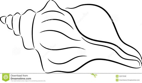 Conch Shell Line Drawing ~ Conch Shell Outline Bodenewasurk