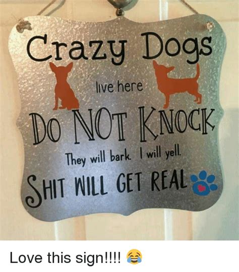 Crazy Dogs Do Not Knock Hit Nill Get Real Live Here They Will Bark I