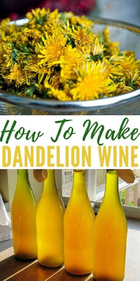 How To Make Dandelion Wine Shtfpreparedness Wine Recipes Dandelion