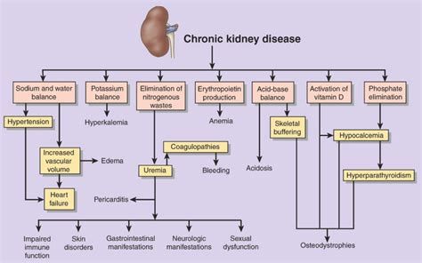 Mophological peculiarities of the glomerulus inflammation are the base of the morphological classification of glomerulonephritis. Best Liver And Kidney Cleanse (With images) | Kidney ...