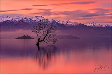 Red Sunset Lake Wanaka New Zealand Landscape And Rural Photos Gary