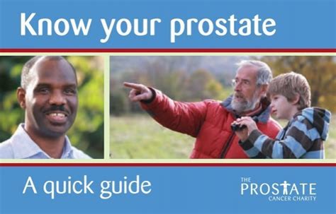 Know Your Prostate A Quick Guide Prostate Cancer Charity